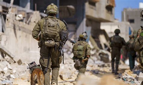 Remains returned from the Gaza Strip recognized as Israeli soldier slain in 2014