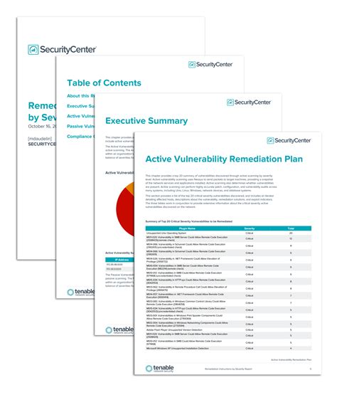 Remediation Instructions Report by Vulnerability SC Report Template