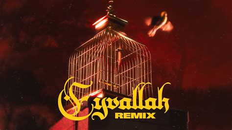 Remix Mp3 İndir Dur Life. 