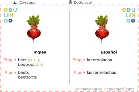 Remolacha en ingles. Things To Know About Remolacha en ingles. 