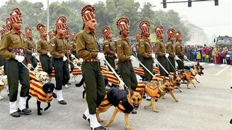 Remount veterinary corps. Join Indian Army | Government of India 