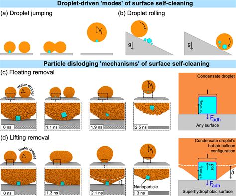 Removal of contaminants from