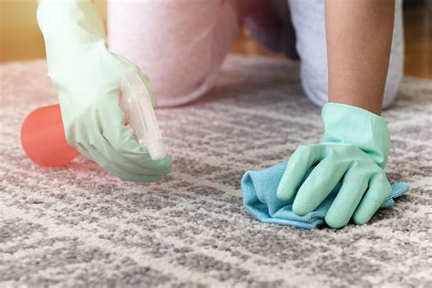 Remove carpet stains. Grab a clean cloth or towel and press gently on the stain working from the outer edges to the center. Rinse the cloth with clean water and blot the spot with ... 