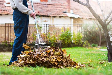 Top 10 Best Leaf Removal in Chesterfield County, VA - May 2024 - Yelp 