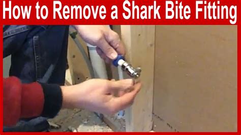 Remove shark bite without tool. In this video I will show you how to remove a shark bite. link to shark bite removal tool: https://amzn.to/3YyhZPs 