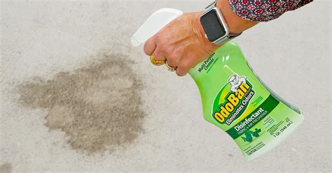 Remove urine smell from carpet. After blotting up as much urine as possible with a dry cloth or paper towels, follow these steps to flush the spot and finish the job: Mix distilled white vinegar and warm water in a 1:1 ratio in a spray bottle. Shake the solution, and spray the stain liberally. Gently scrub the solution into the spot. 
