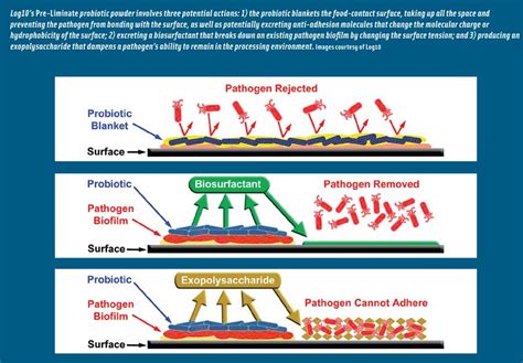 Removing and Preventing Biofilms - IFT.org - Institute …