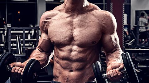 Renaissance Body Development