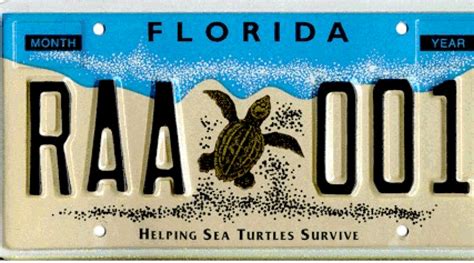 Renew license plate florida. Things To Know About Renew license plate florida. 