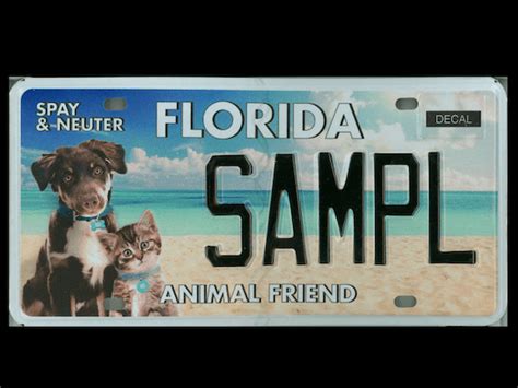 Renew my tag online florida. Learn how to apply for a license plate and registration in Florida, and the fees, options and requirements for different types of plates. Find out how to dispose of your old plates and … 