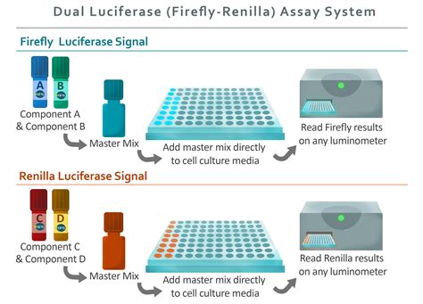 Renilla Luciferase Assay System - Promega