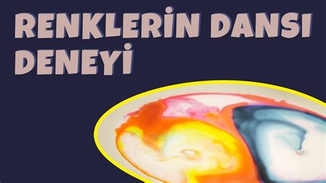 Renklerin Dansı; En Güzel İğne Oyaları (46 Model). 