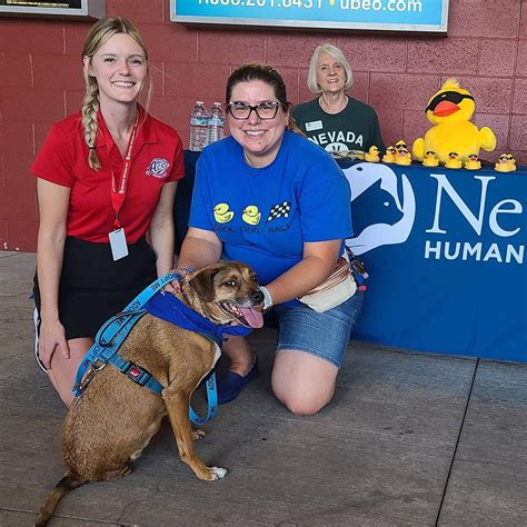 Reno humane society. The Nevada Humane Society Duck Race will take place on August 12, 2023. 20,000+ yellow rubber ducks will race to the finish line winning prizes for their duck adopters. 