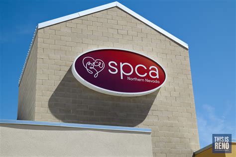 Reno spca. Nevada Humane Society | With Shelters located in Reno, and Carson City, the Nevada Humane Society Caring is a charitable, non-profit organization that accepts all pets, finds them homes, saves their lives, and is recognized as a … 