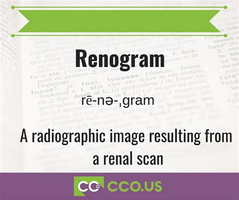 Renogram definition of renogram by Medical dictionary