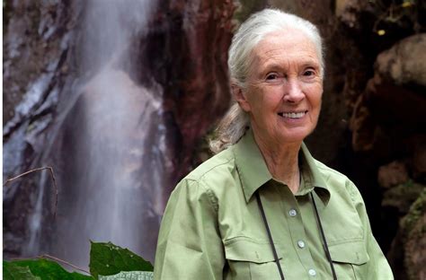 Renowned Conservationist Added To 2024 IoD Women