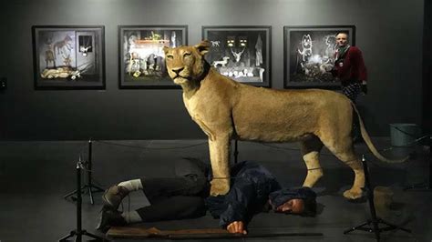 Renowned artist confronts destruction of African wildlife in latest art show