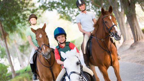 Rent a horse. Finding someone to rent out a room in your house may seem simple, but check out these tips before you do anything. Home Make Money Filling a spare bedroom in your house or apartme... 