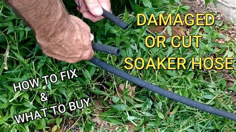 Repairing a damaged soaker hose - A Gardener