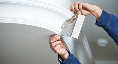 Repairing old coving - HomeOwnersHub