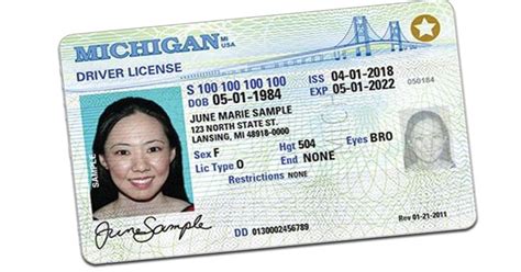 Replace lost michigan driver's license. Things To Know About Replace lost michigan driver's license. 