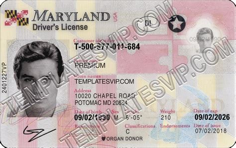 Driver License / Identification Service Fee; Driver License (F