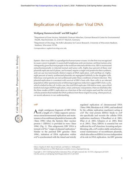 Replication of Epstein–Barr Viral DNA - cshperspectives.cshlp.org