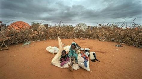Report: 43,000 estimated dead in Somalia drought last year
