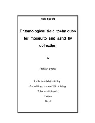 Report Of Entomological Work
