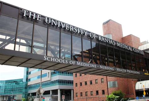 Reporting - University of Kansas Medical Center