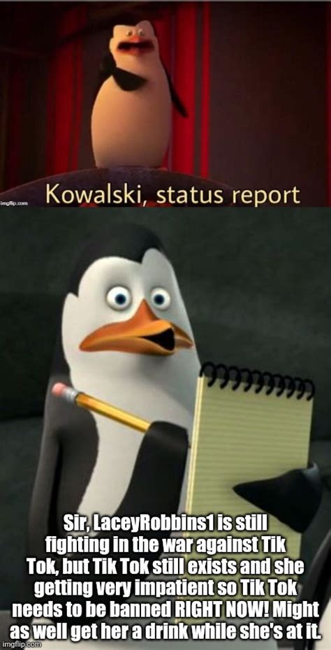 Reports: Kowalski