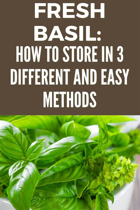 Repot basil from store.  Learn a few handy methods to keep basil fresh when yo...