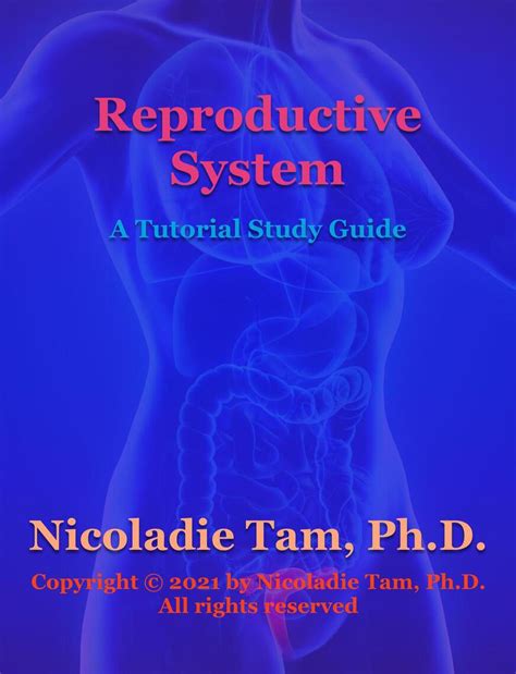 Reproductive system a tutorial study guide. - Eclipse cdt 4gb mp3 player manual.