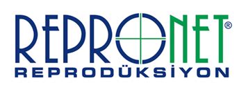 codini.rgarabwor.edu.pl. 