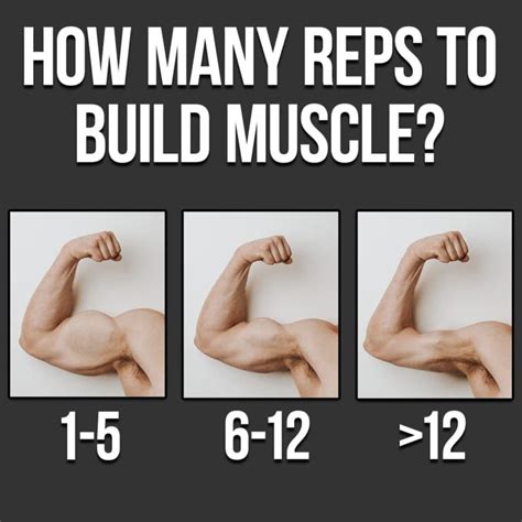Reps To Build Muscle Mocksure