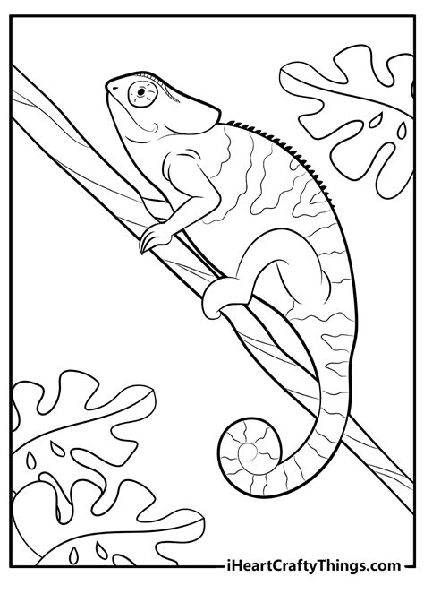 Reptile Coloring Pages To Print Out Coloring Pages Ideas
