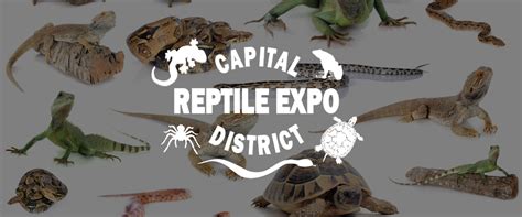 Reptile Expo returning to Albany Capital Center