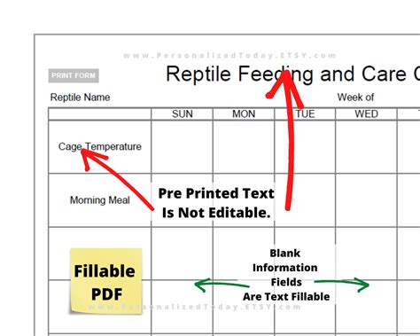 Reptile Feeding And Care Chart Text Input Fillable And