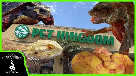 Best reptile 2024 stores online