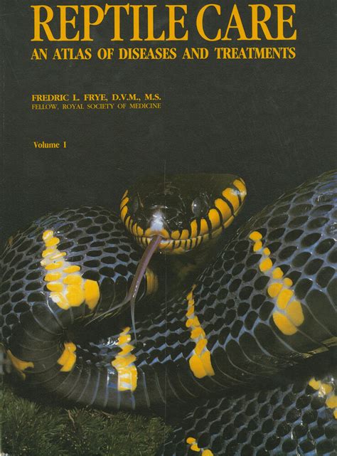 Reptile care an atlas of diseases and treatments. - Briggs stratton vanguard 3 lc 3 zylinder flüssigkeitsdieselmotor werkstatt service reparaturanleitung download.