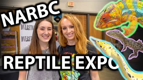 The NARBC Reptile Show Arlington is an event that is su