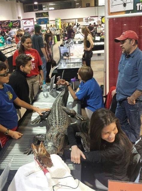 Reptile expo charlotte nc. At-Show Vendor Concerns: If you have concerns relating to an exhibitor, their animals, or their products at a Repticon show, please alert the Repticon staff during the show. A Repticon manager is present at every show. ... Charlotte, NC: October 5, 2024 : Sarasota, FL (Sat) October 12 & 13, 2024 : Asheville, NC : October 12 & 13, 2024 : Denver ... 