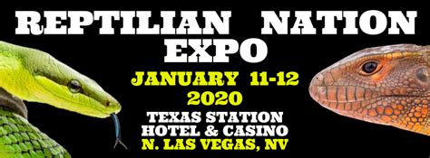 Reptile expo las vegas 2023. Things To Know About Reptile expo las vegas 2023. 