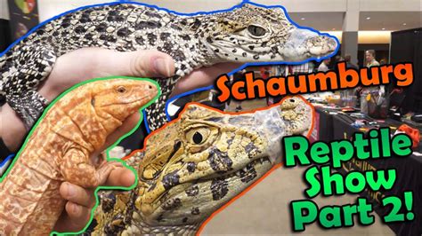 Reptile expo schaumburg. 133 people interested. Rated 4.2 by 10 people. Check out who is attending exhibiting speaking schedule & agenda reviews timing entry ticket fees. 2024 edition of All American Grooming Show will be held at Schaumburg starting on 15th August. It is a 4 day event organised by Barkleigh Productions Inc and will conclude on 18-Aug-2024. 