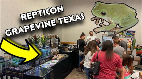 163 people interested. Rated 4.8 by 15 people. Check out who is attending exhibiting speaking schedule & agenda reviews timing entry ticket fees. 2023 edition of Repticon Orlando Show will be held at Central Florida Fair., Orlando starting on 09th December. It is a 2 day event organised by Herpetorama, Inc and will conclude on 10-Dec-2023.. 
