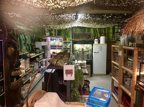 Call us at 410-761-1113. House if Tropicals is the best reptiles & mammals store in Maryland! Check out our reptiles room of snakes, lizards , geckos, skins frogs & more!. 