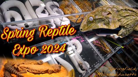 Reptile show ma