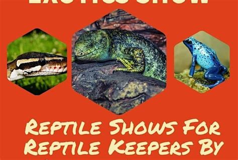 Reptile show orlando. Things To Know About Reptile show orlando. 