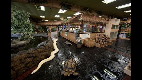 Reptile zoo near me. Things To Know About Reptile zoo near me. 