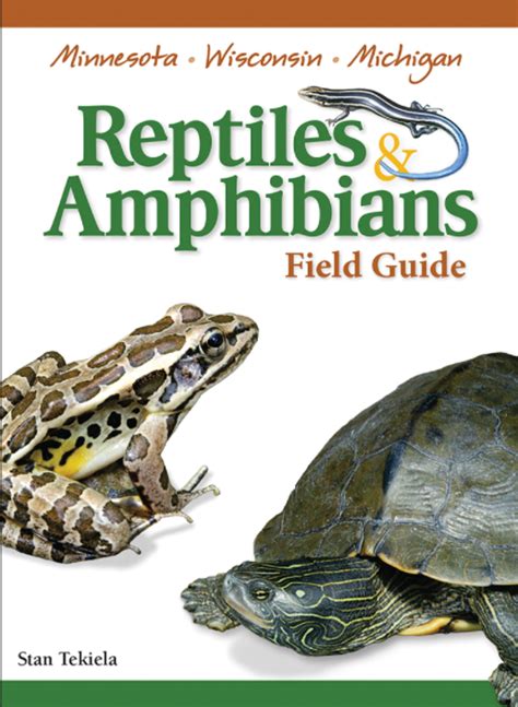 Reptiles amphibians of minnesota field guide. - Islands in the stream by ernest hemingway summary study guide.
